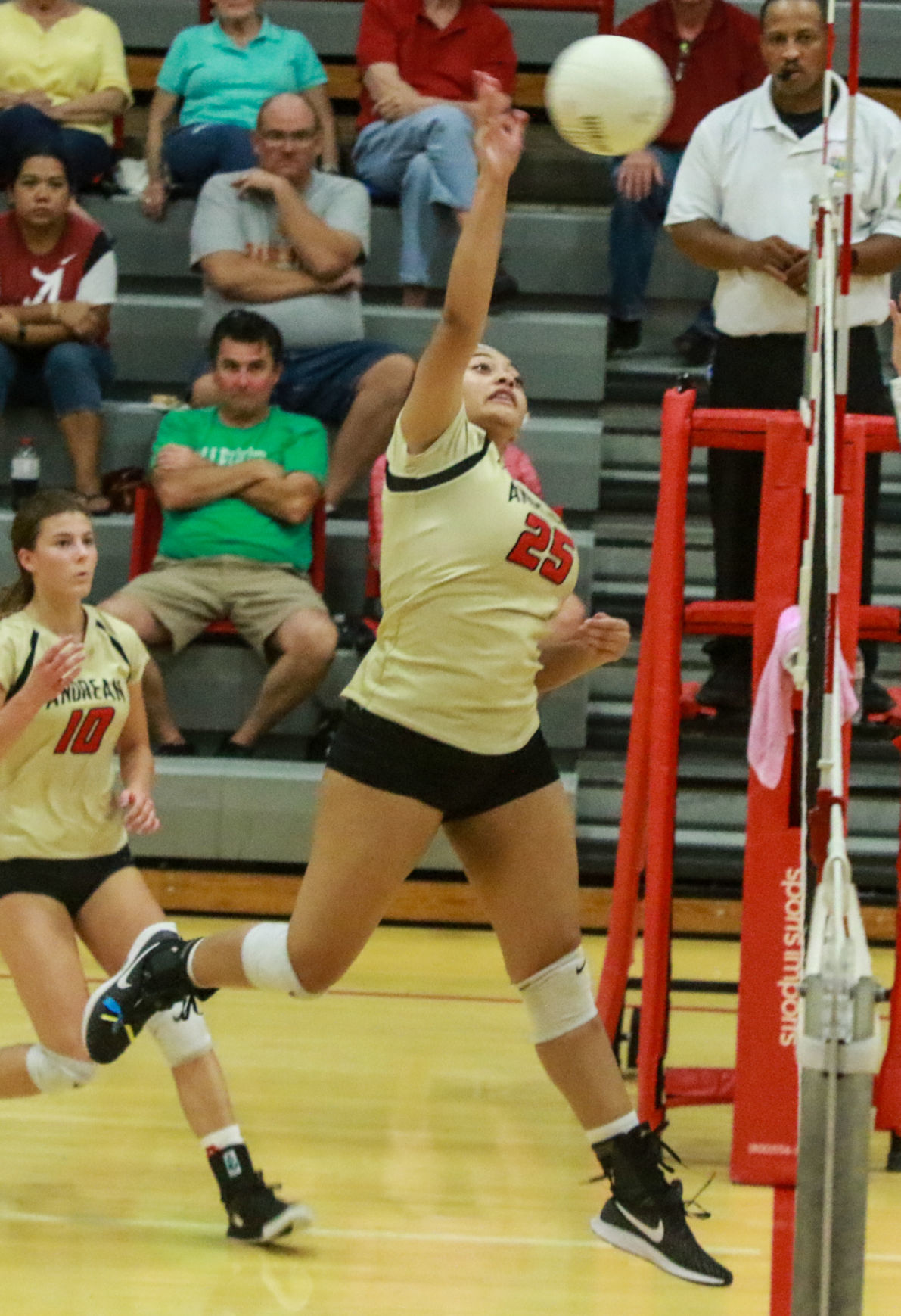 Girls volleyball - Wheeler at Andrean